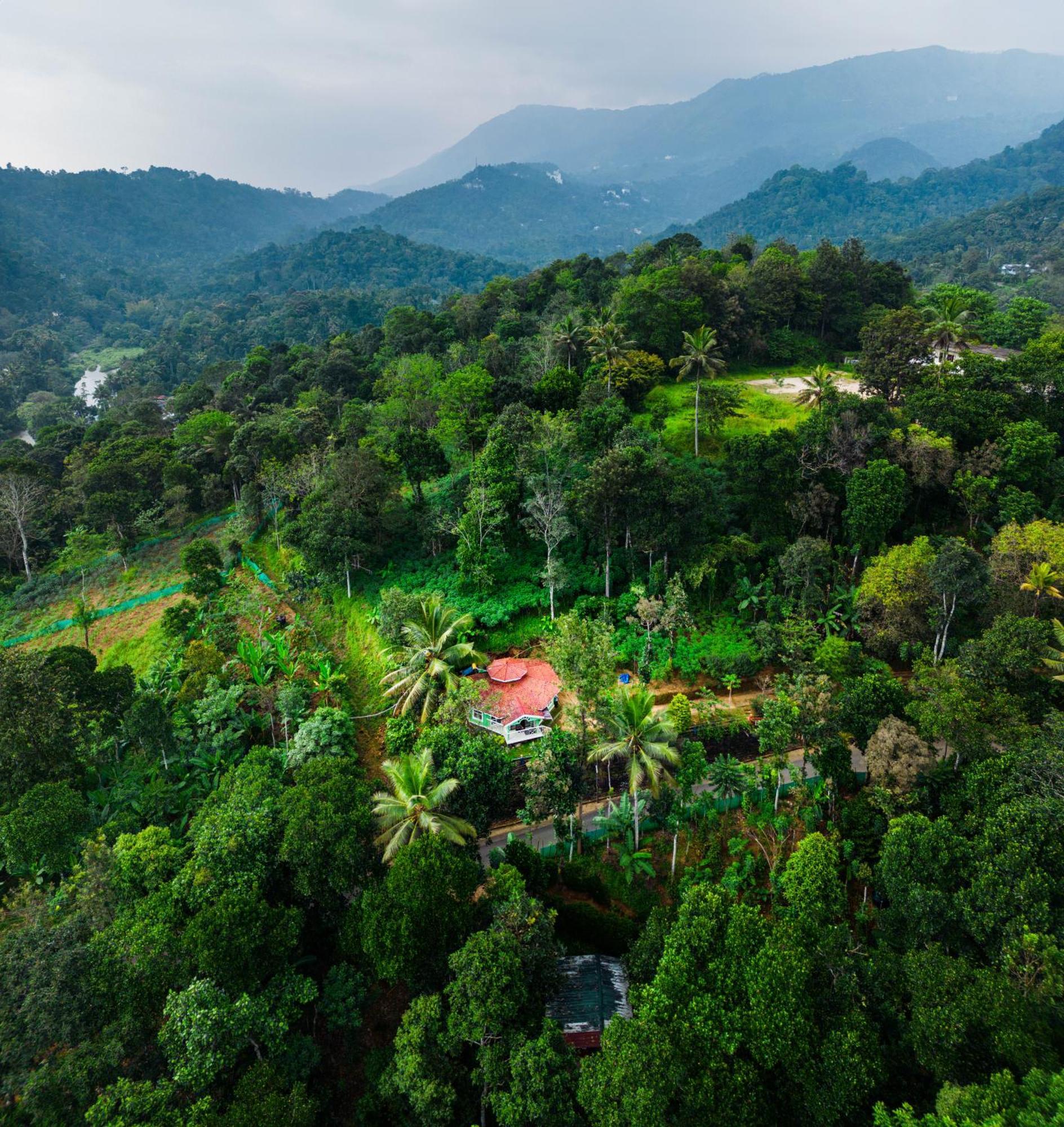 Nature Routes Cottage Munnar Exterior foto